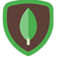 MongoDB Icon