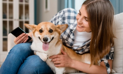 On-demand Pet Care App Services